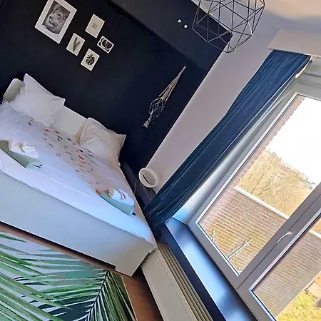 1 Uit De 100 3*