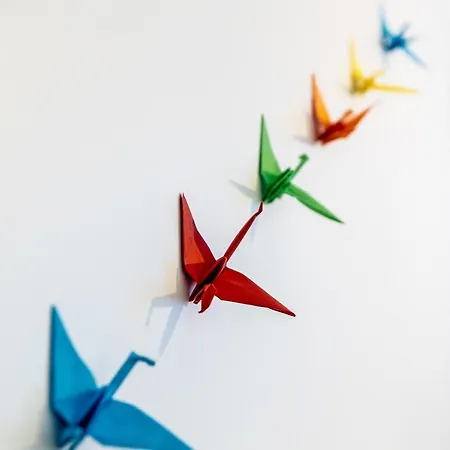 Bed & Breakfast 1 Uit De 100 Ghent